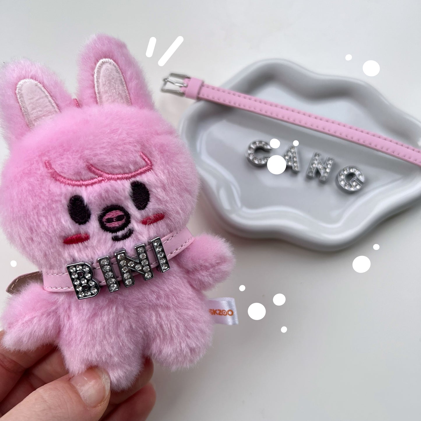 CUSTOM NAME TAG collar