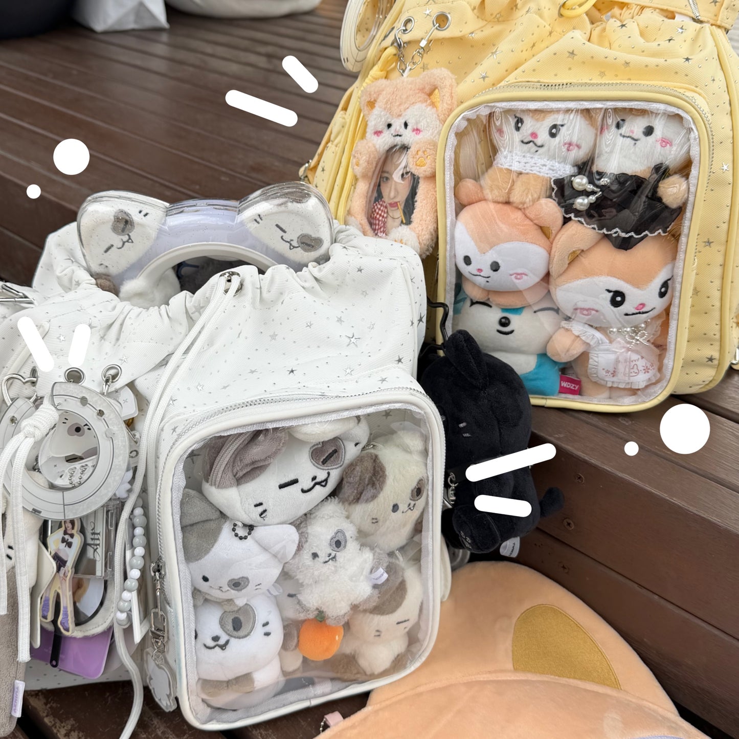 PREORDER -  STAR Bag / Backpack