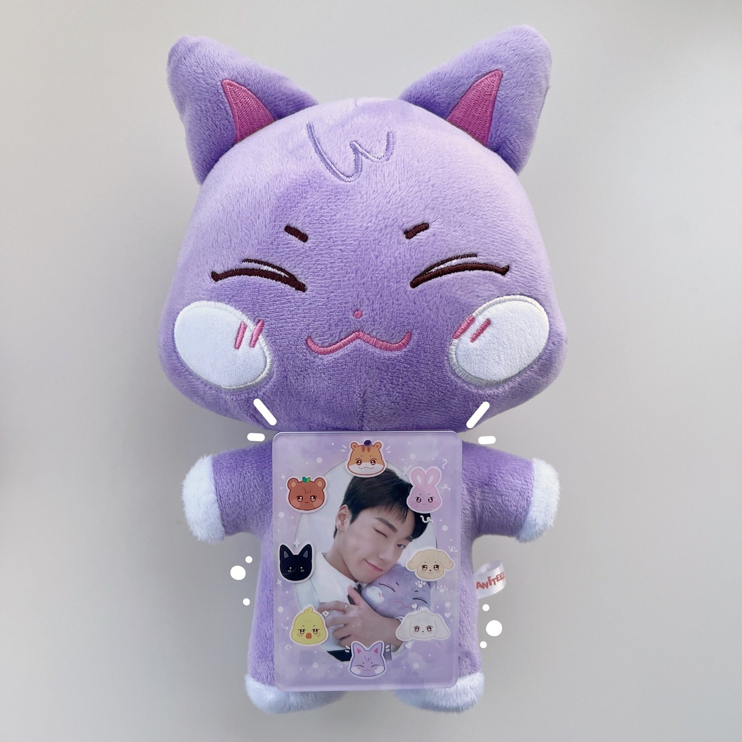 ANITEEZ acrylic photocard holder