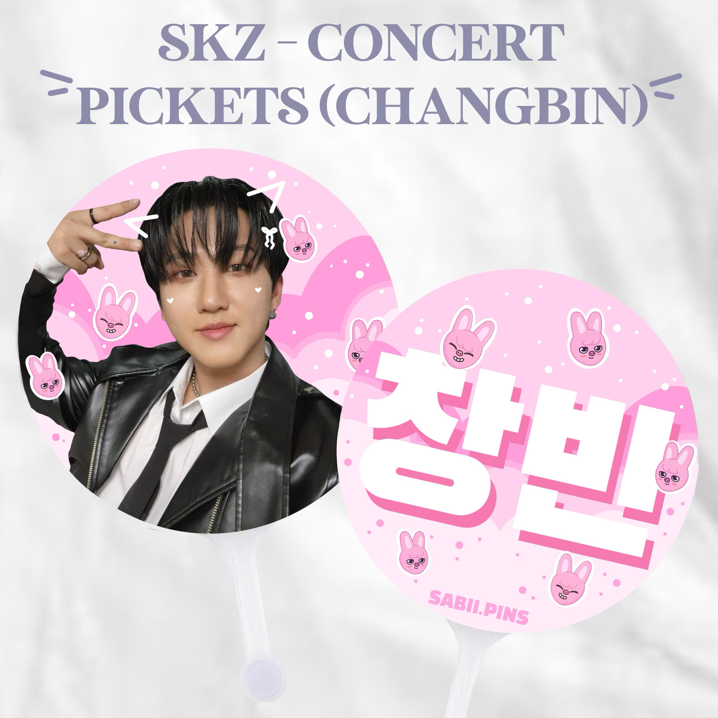 STRAY KIDS concert pickets