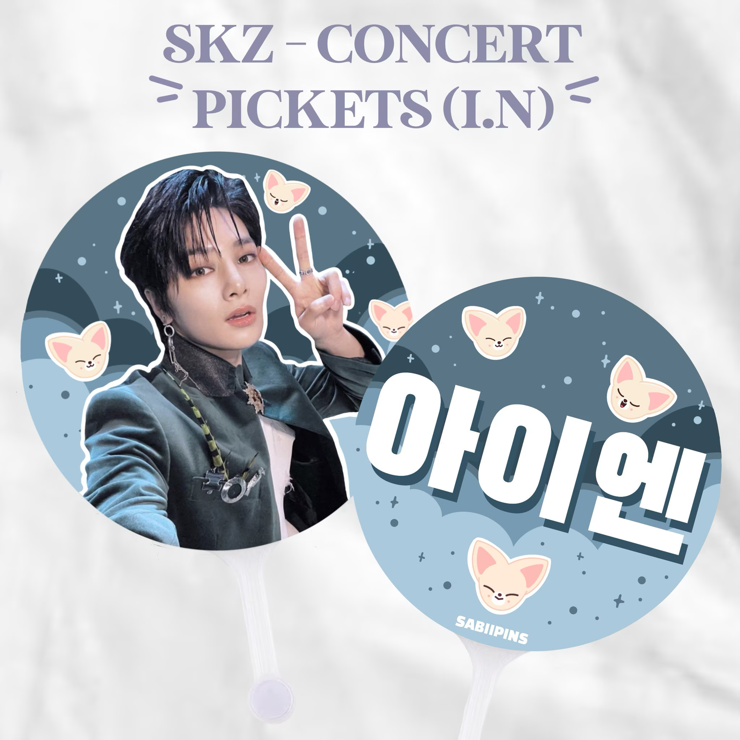 STRAY KIDS concert pickets