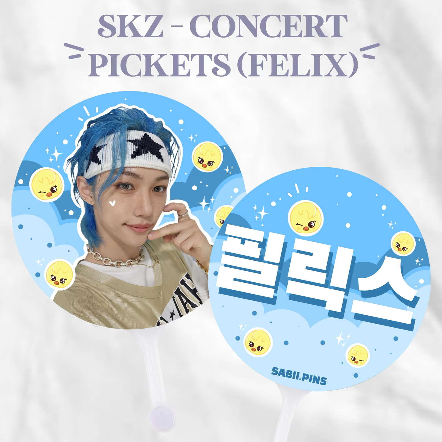 STRAY KIDS concert pickets